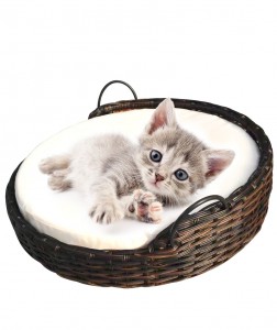 Round pet bed w/handles-Rattan cat & dog bed