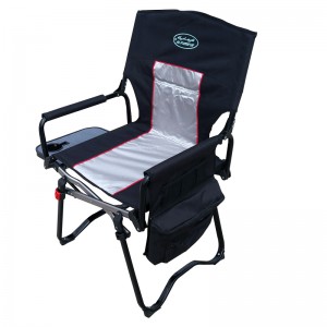 Portable Camping Chair w/Carrybag